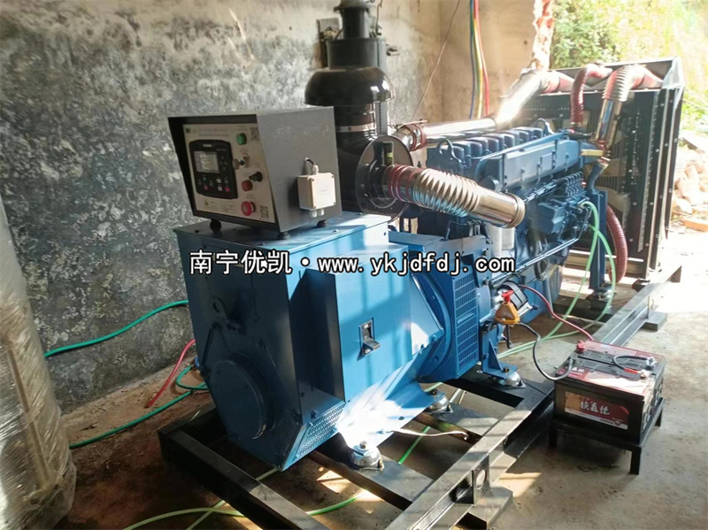 2024年3月5日，200kw濰坊雷納發(fā)電機(jī)組某學(xué)校到貨安裝